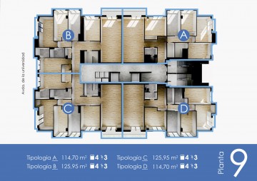 Planta 9